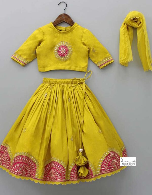 Paijali Patti Lehenga Set - Image 6